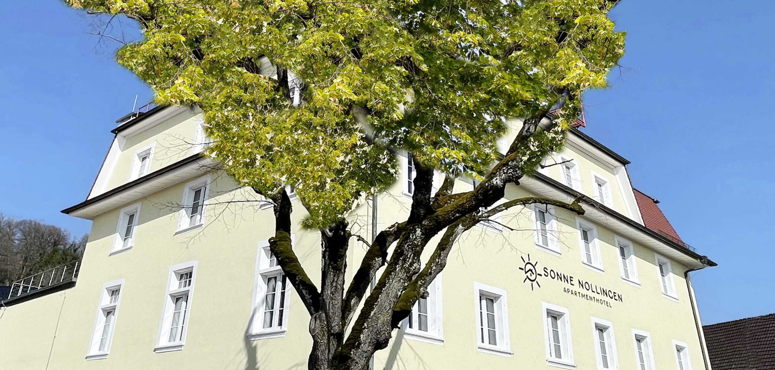 Ein großer Baum mit grünen Blättern steht vor einem hellgelben Gebäude mit mehreren Fenstern. Das Gebäude hat ein rotes Dach und ein Schild mit der Aufschrift „Sonne Nollingen“.